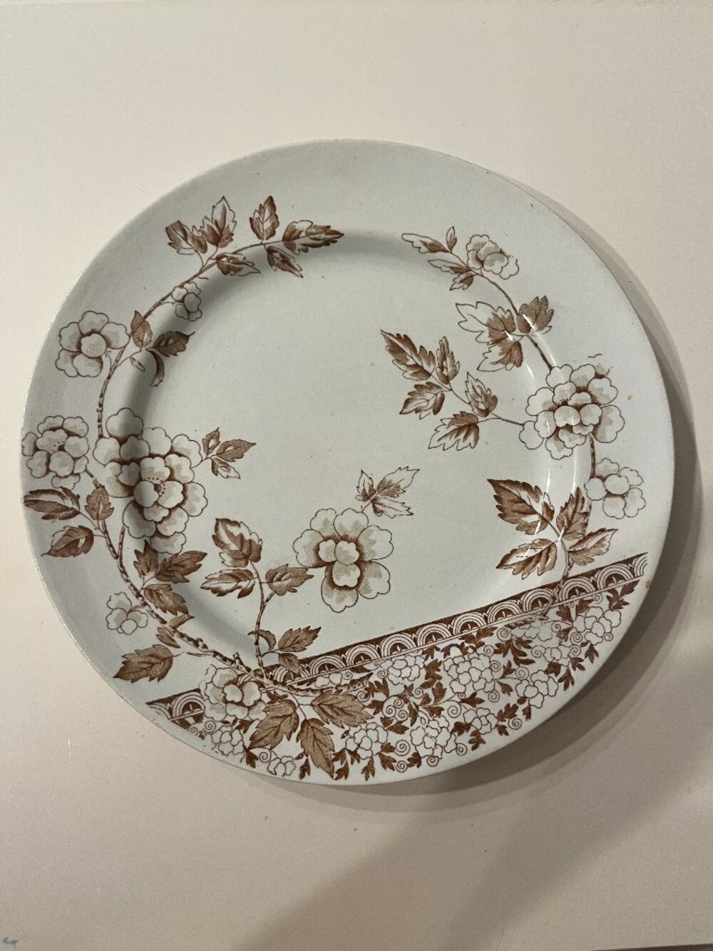 Antique Staffordshire Ironstone Plate J F Wileman Albert Pattern Brown Floral